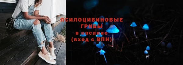 крисы Липки
