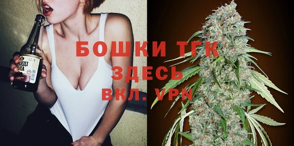 тгк Лиски