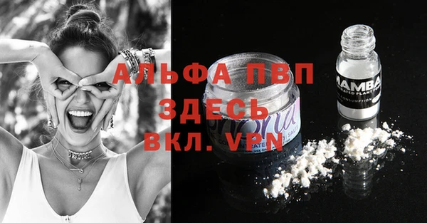 крисы Липки